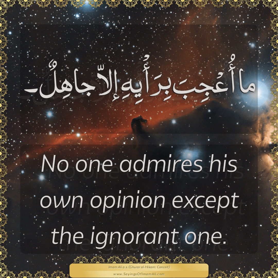 No one admires his own opinion except the ignorant one.